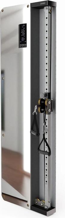 HMS HMS-Wandschulungstor BSP301 pneumatisch