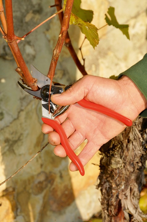 Actual product image Felco Garden shears 6