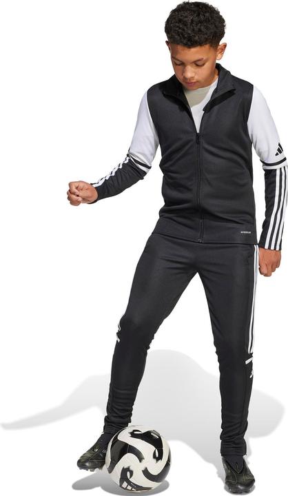 Image du produit adidas Squadra 25 Pantalon d'entraînement Kids (116)