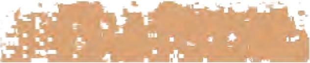 Actual product image Schmincke Pastel Crayon Green Earth Burnt 033 M