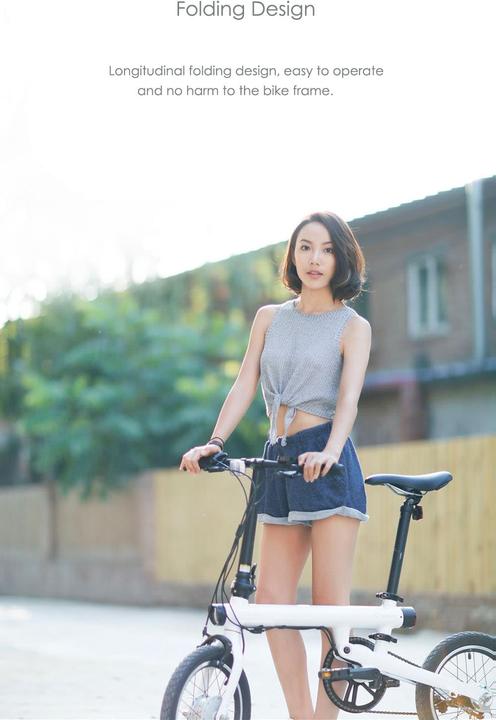 Produktbild Xiaomi QiCycle