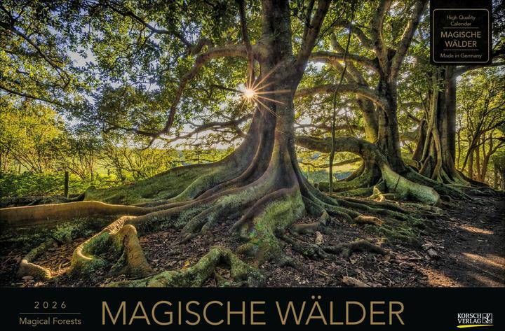Produktbild Magische Wälder 2026