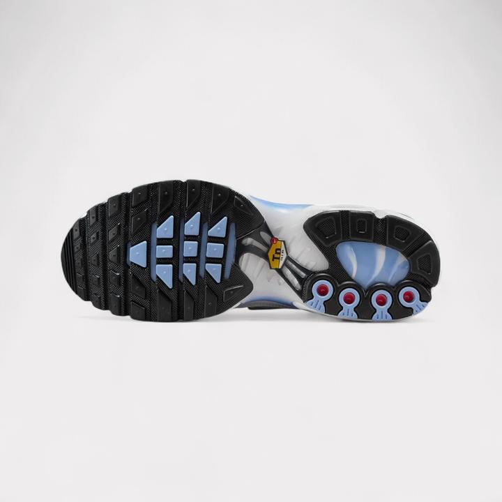 Image du produit Nike Air Max Plus (41)