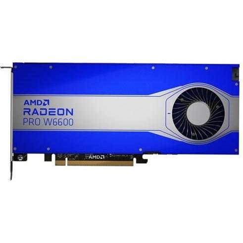Dell AMD Radeon Pro W6600 8GB 4DP Precision 7920T 7820 5820 3650 Kit (8 GB), Grafikkarte