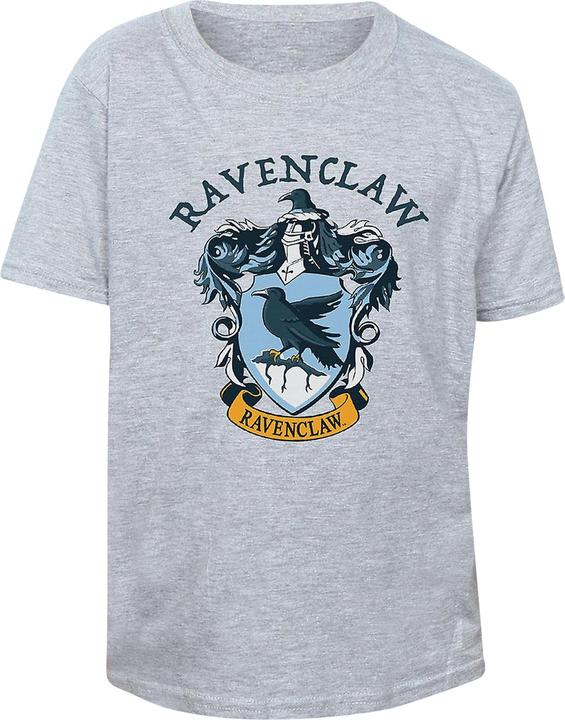 Actual product image Womens/Ladies Ravenclaw Boyfriend T-Shirt (M)