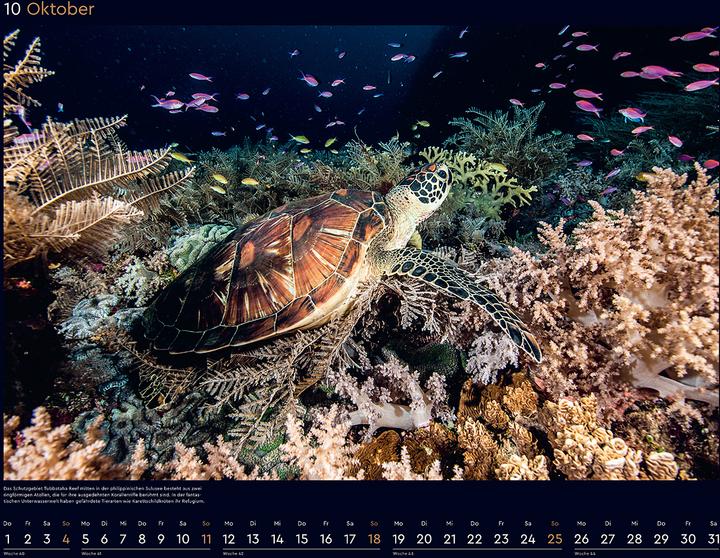 Produktbild Das Naturerbe der Welt - Wandkalender 2026 (60 x 45 cm, Harter Einband, Deutsch)