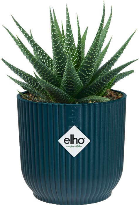 Produktbild Elho Blumenschale (7 cm)