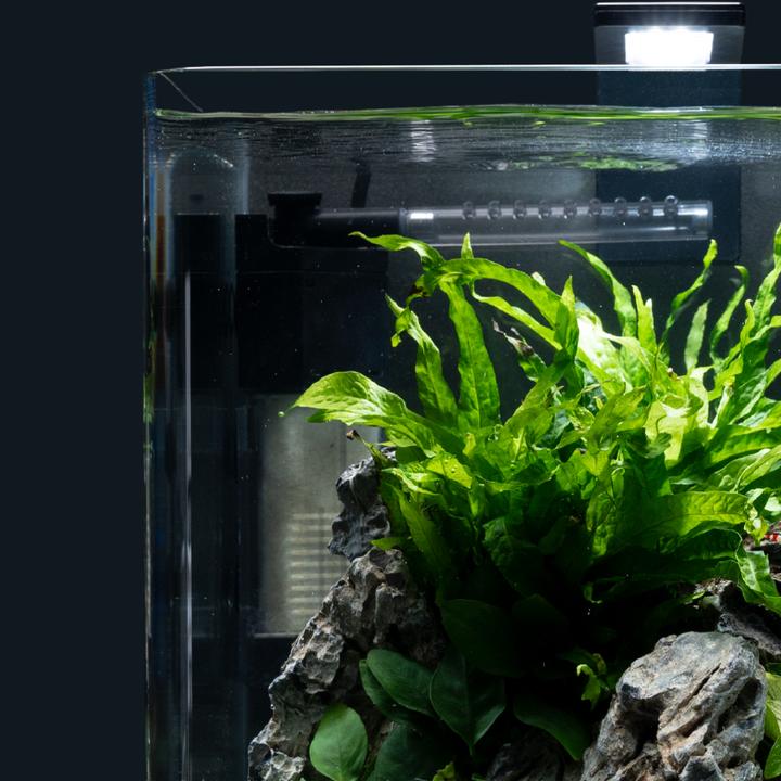 Productafbeelding Dennerle Nano hoekfilter (40 l, Intern filter, Zoet water)