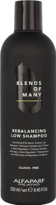 Actual product image Alfaparf Blends Of Many Rebalancing (250 ml, Liquid shampoo)