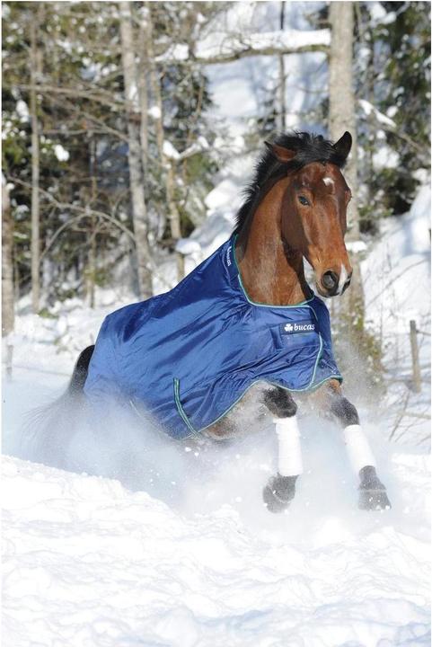 Produktbild Bucas Winterdecke Smartex Extra Classic 300g (140 cm)