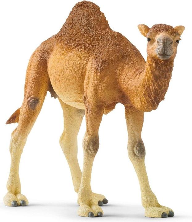 Immagine prodotto Schleich Dromedario