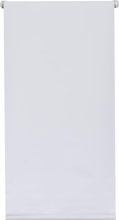 Domoletti ROLLER BLIND B/O SILVER 051 80X185 WHITE