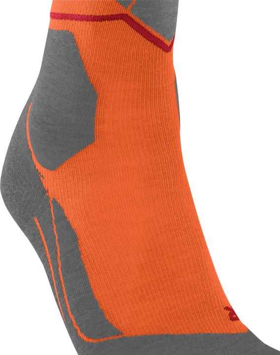 Actual product image Falke SK4 Advanced CompressionLight (39 - 41)