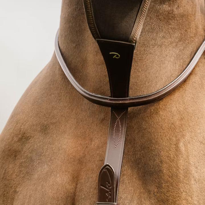 Image du produit Dy'on NE coll