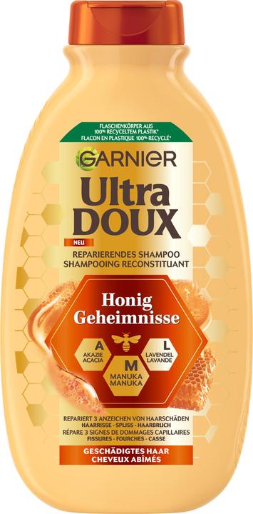 Garnier Honey Treasures