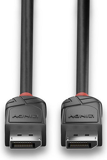 Actual product image Lindy DisplayPort — DisplayPort (2 m)