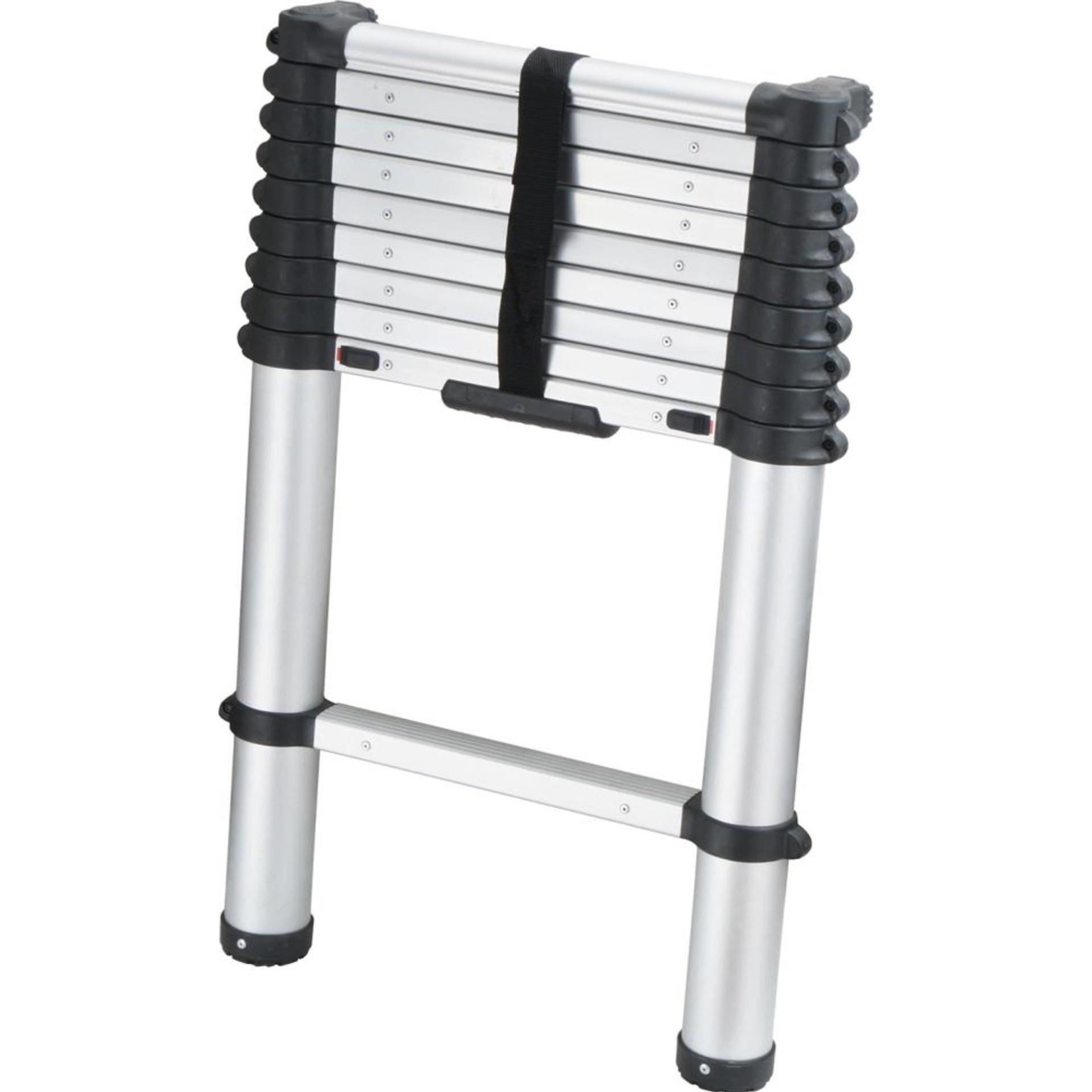 NoName, Scala a pioli, Scala telescopica 10 pioli Lunghezza scala da 0,75 a 2,93 metri (Scala telescopica, 75 cm)