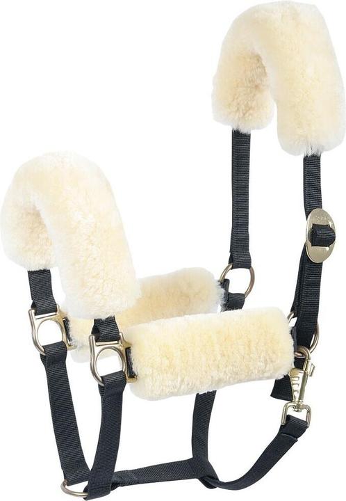 Produktbild Harry's Horse Scheide für Reithalfter Merino