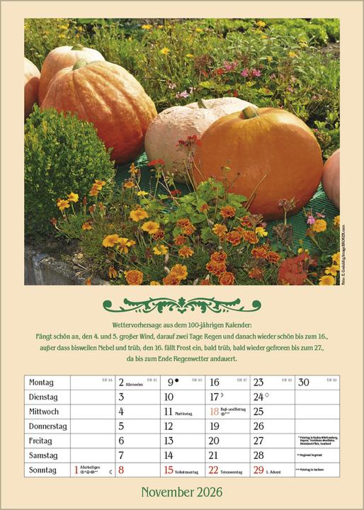 Actual product image Landleben mit Hundertjährigem Kalender 2025 (A3, Hardcover, German)