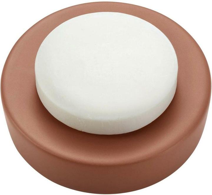 Actual product image Diaqua Soap dish Zylo terra - inox