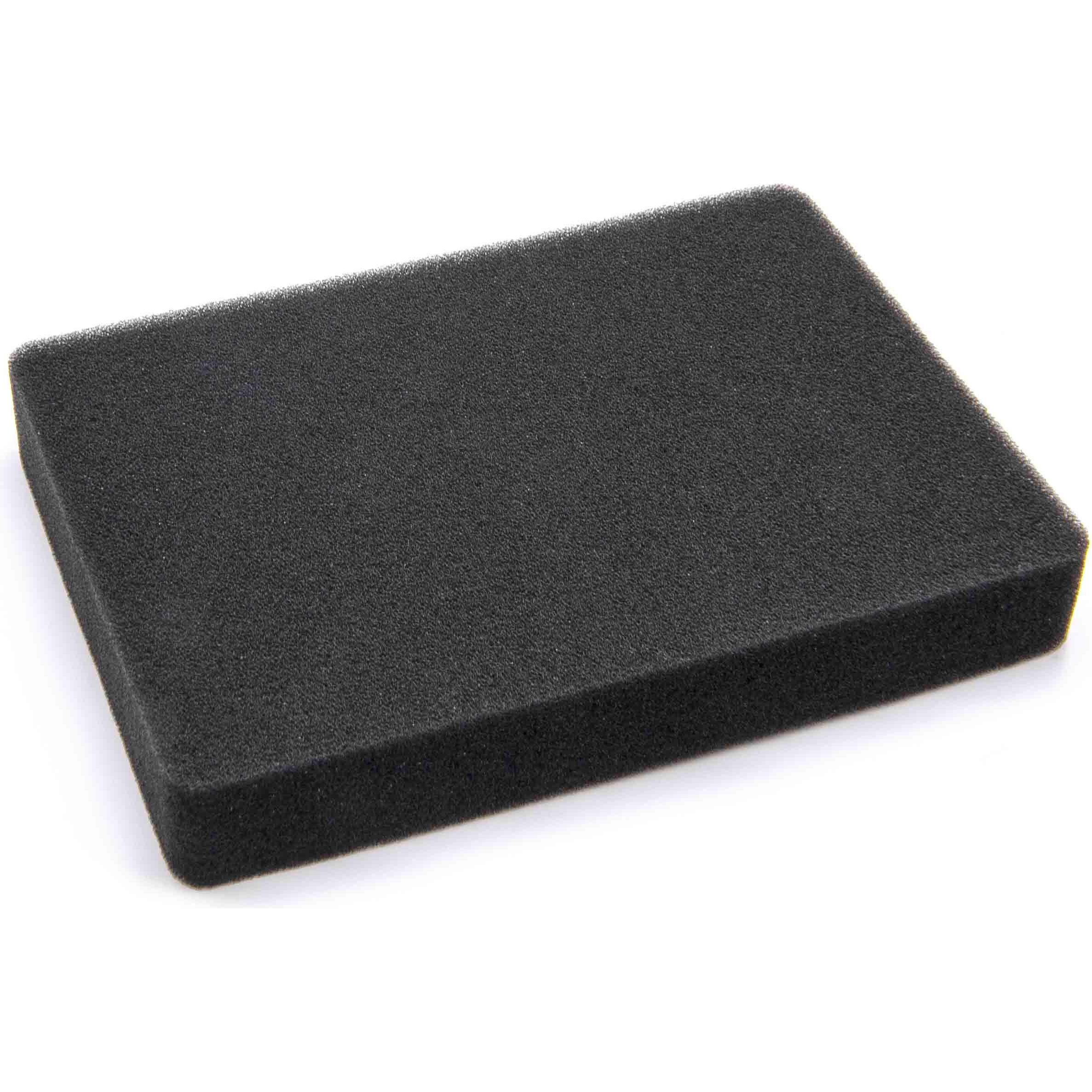 AccuCell Staubsaugerfilter für Staubsauger wie Rowenta RS-RT4229, Schaumstoff Filter, Staubsauger Zubehör, Schwarz