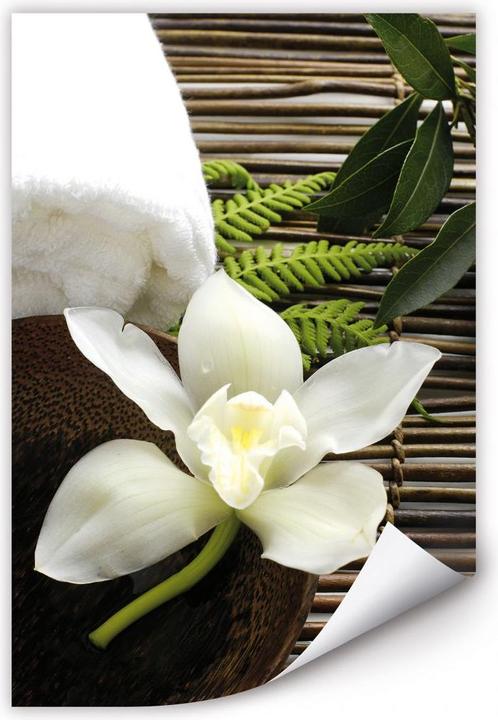 Immagine prodotto Trenddeko Orchidea del benessere (70 x 100 cm)