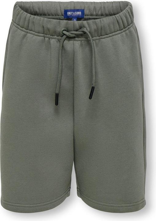 Castor Gray