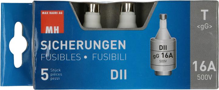 Actual product image Max Hauri Fuse DT (16 A)
