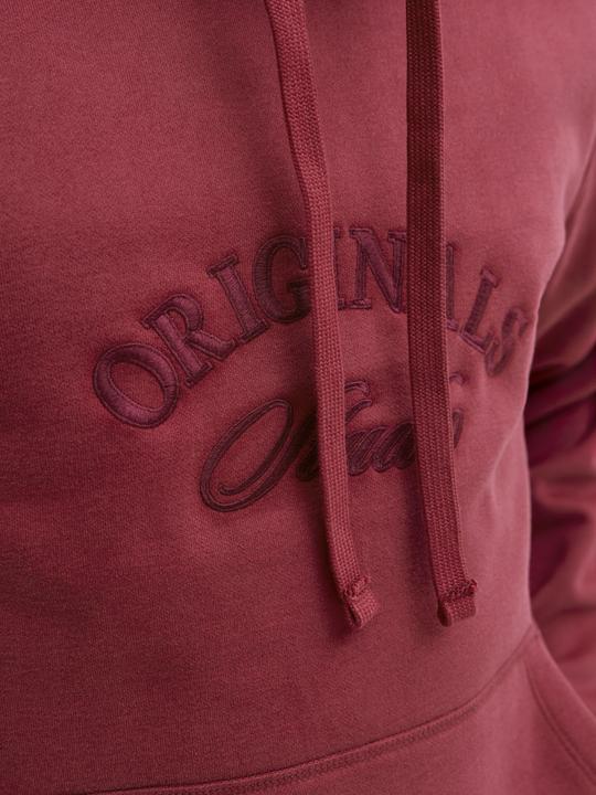 Image du produit Jack & Jones Kapuzenpullover Kapuzenpullover (XS)