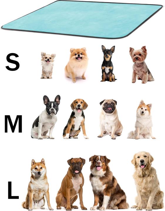 Actual product image Aspero Dog blanket Lund (Dog)