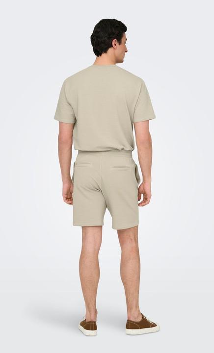 Actual product image Only & Sons Onskian Life Reg Seersucker Ss Tee (L)