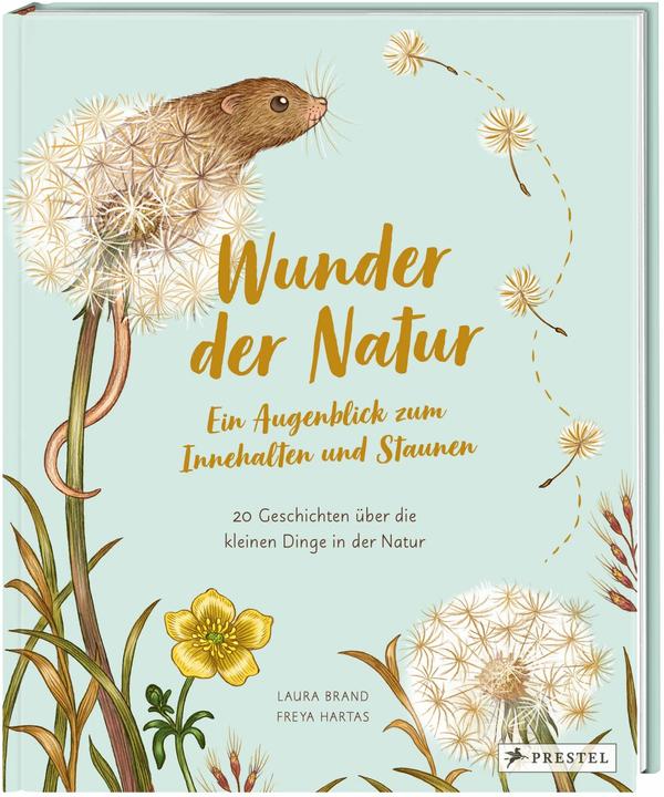 Produktbild Wunder der Natur. Ein Augenblick zum Innehalten und Staunen (Deutsch, Freya Hartas, Laura Brand, 2023)