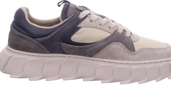 Image du produit Apple Of Eden AW24-LIMA 28 (40)