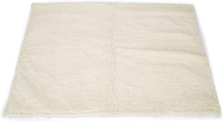 Image du produit Beeztees Chaton (Chat)