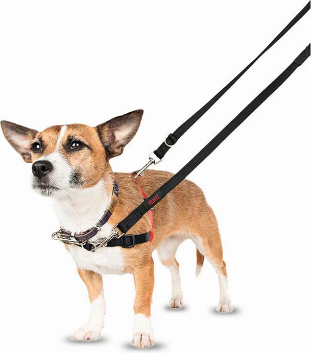 Produktbild Company of Animals Halti Antizug L Front Control (L, Hund, Allgemein, Spazieren)