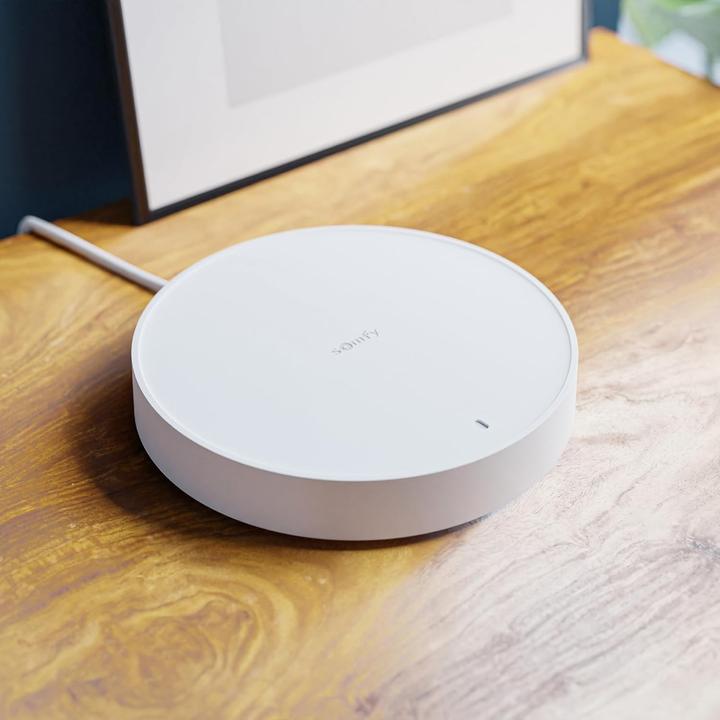 Actual product image somfy Hausalarm