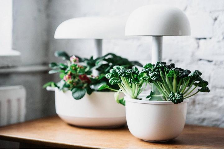 Produktbild Plantui Smart Garden 3e (Keimlinge)