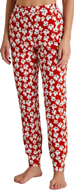 Actual product image Calida Special (M)