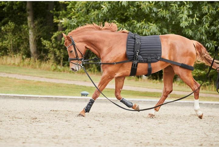 Image du produit Catago HYBRID Training saddle pad with elastic