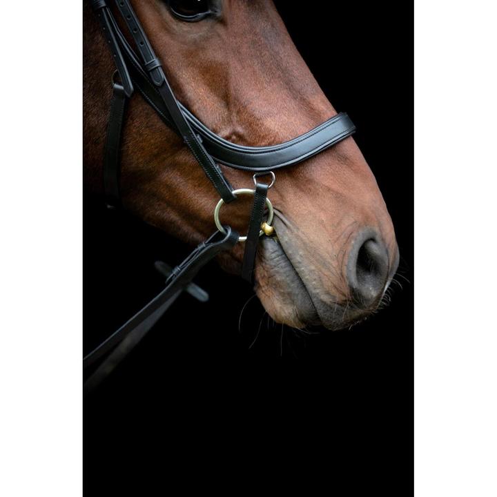 Image du produit Horse Guard Vinja