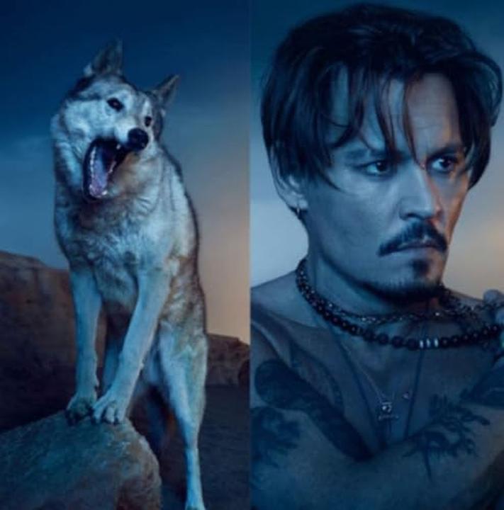 Immagine prodotto Dior Sauvage (Eau de parfum, 200 ml)