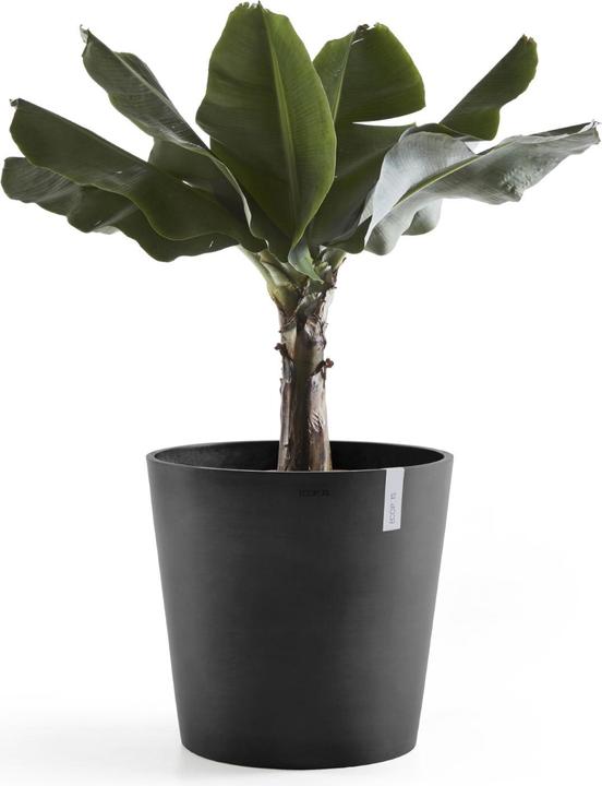 Produktbild Ecopots Amsterdam (50 cm)
