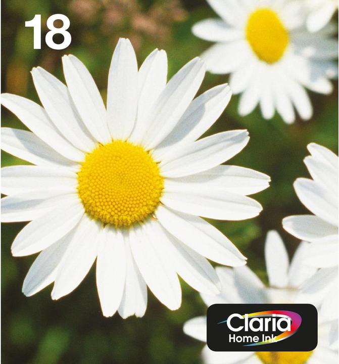 Image du produit Epson 18 Multipack (C, CF, M, Y)