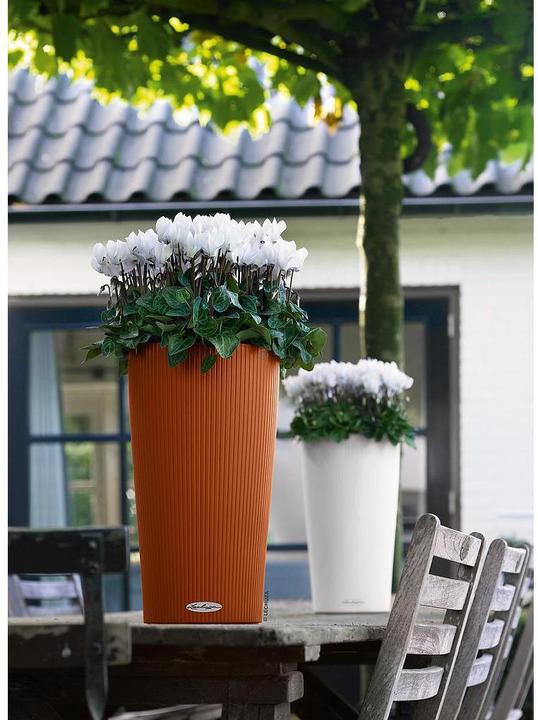 Actual product image Lechuza Cilinro Color 23 (23 cm)