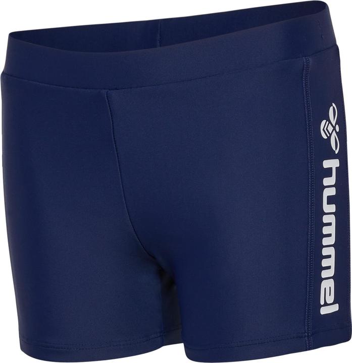 Actual product image hummel Hmldavid Swim Shorts (92)