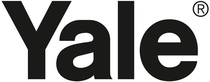 Actual product image Yale Lever hoist handy