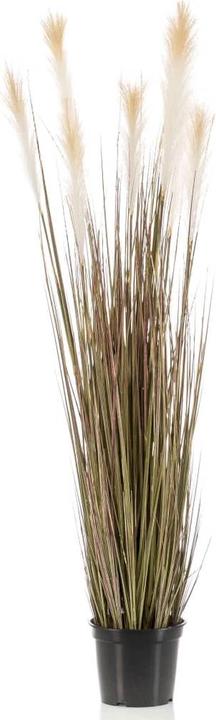 Productafbeelding Emerald Künstliche Pflanze (120 cm)