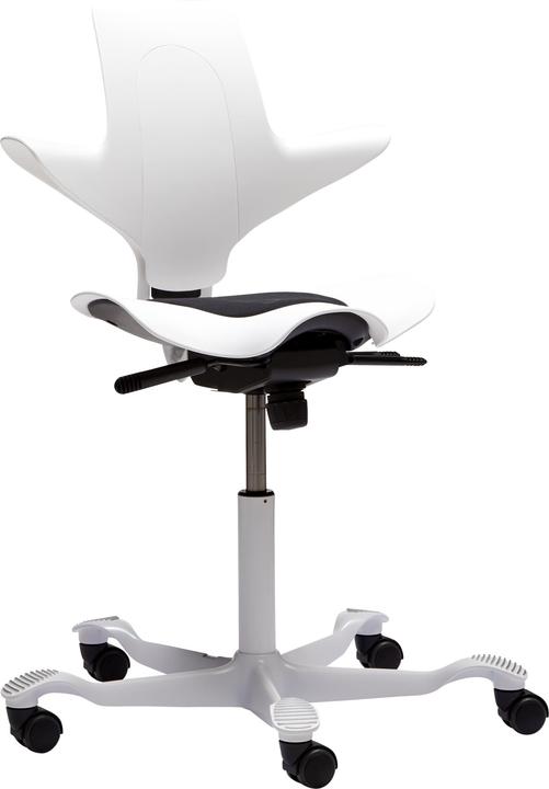 Actual product image HAG Capisco Puls 8010