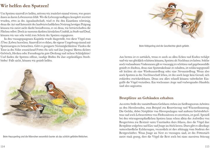 Produktbild Mehr Platz für den Spatz! (Deutsch, Christopher Schmidt, Uwe Westphal, 2017)