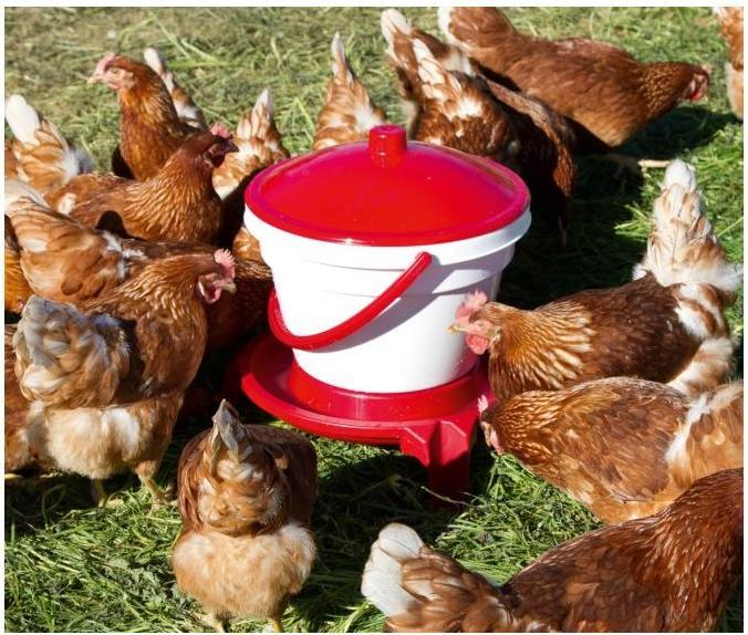 Actual product image Kerbl Poultry drinking bucket